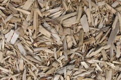 biomass boilers Hamble Le Rice